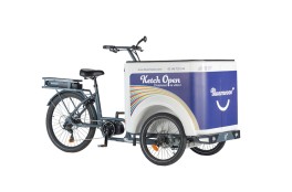 Cargo Bike elettrico Triporte Aperta con box aperto