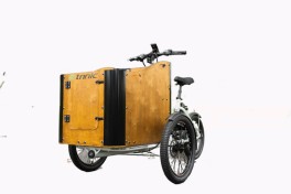 Triciclo Elettrico Cargo Bike motore centrale Bafang  Etnnic