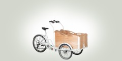 E-Cargo Panda Aid elettrico 7V Panda Bike