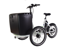 Electric Tricycle Cargo Bike rear motor Etnnic