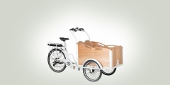 Triciclo Cargo Minivan 6V Panda Bike