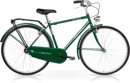 Bici Sport Uomo 28'' 1V Acciaio Verde