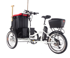 Triciclo elettrico cargo bike Etnnic 